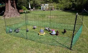 Filet Enclos Pour Poules 21 Metres Animaloo 1001 poules vous propose un large choix d'oeufs fécondés à couver de poules d'ornement.aucun intermédiaire, 100% de nos sujets proviennent de notre exploitation site dans le nord de la france. lifland