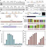 Molecular plant cell press impact factor. Molecular Plant Cell Press