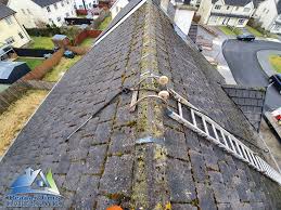 We did not find results for: Peadar Jim S Cleaning Services Posts Facebook