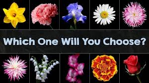 Check spelling or type a new query. Which Flower Fits Your Personality Based On Your Zodiac Sign Yourtango