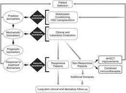 Hematopoietic stem cell transplantation can be curative for malignant and nonmalignant diseases. Frontiers Autologous Hematopoietic Stem Cell Transplantation For Autoimmune Diseases From Mechanistic Insights To Biomarkers Immunology