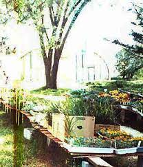 Maybe you would like to learn more about one of these? Nursery K W Greenery