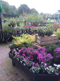 Pin On Byrkley Park Garden Centre Klondyke Burton Upon Trent