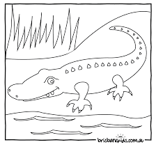 We did not find results for: Australian Animals Colouring Pages Brisbane Kids