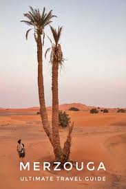 Go to www.camel.com/humpday to join the camel hump day sweepstakes, you will get a chance to win $50,000 grand prize and $1,000 visa gift card by if you are lucky enough, you will be able to win the $50,000 grand prize in the form of check or wire transfer. Pin On Travel