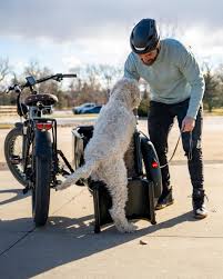 Image result for bicycle sidecar