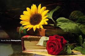 Sunflowers and roses photography in 2019 sunflowers. Aesthetic Sunflowers And Roses Painting Largest Wallpaper Portal
