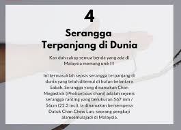 Ideapad slim 5i hadir menggabungkan kinerja, konektivitas, dan hiburan yang. Fakta Fakta Menarik Setiap Hari Yoodo