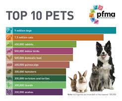 Attested since the 1500s in the sense indulged child and since the 1530s in the sense animal companion. Pfma Releases Its New Top Ten Pets Chart 2019