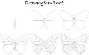 How To Draw A Butterfly For Beginners Butterfly Art Drawing Butterfly Drawing Butterfly Sketch