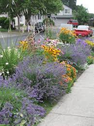 Image Result For Curbside Landscaping Front Yard Garden Garden Plants