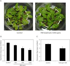 Maybe you would like to learn more about one of these? Plos One Yeast Cell Wall Extract Induces Disease Resistance Against Bacterial And Fungal Pathogens In Arabidopsis Thaliana And Brassica Crop