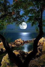 Lucia Davi On Twitter Videos Buenas Noches Hermosa Fotografia De Paisaje Fotos Buenas Noches