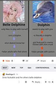 Cursed Dolphin : r/cursedcomments