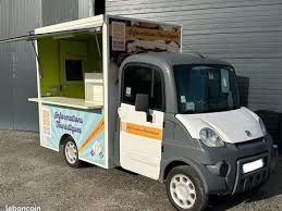 Image result for Blanc 2010 Aixam-Mega