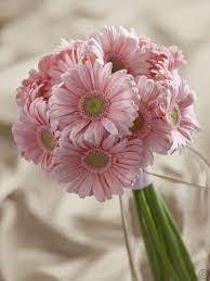 Maybe you would like to learn more about one of these? Had These For The Bride S Maid S But A Mix Of White And Yellow Gerbera Bouquet Wedding Bouquets Pink Gerbera Daisy Bouquet