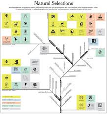 Natural Selection Diagram Process Flow Chart Onefive