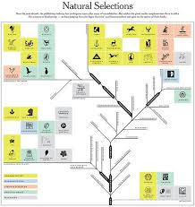 natural selection diagram process flow chart onefive