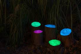 Sie sind klein und handlich, finden in jeden raum platz und erfüllen auf wunsch noch weitere funktionen. Diy Im Dunkeln Leuchtende Baumstamm Hocker Selber Machen Diy Anleitung