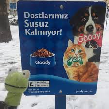 Afferim Bak Ne Guzel Uyarmislar Haklisin Pa Bu Sopukta Bu Karda Minik Dostlarimizi Unutmuyoruz Yemek Artiklari In 2020 Frosted Flakes Cereal Box Cereal Box Cereal