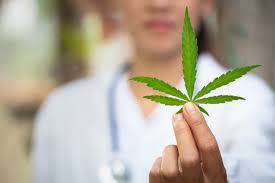 What happens when you smoke weed everyday. What Smoking Marijuana Every Day Does To Your Body Eat This Not That