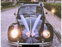 Thats All Volks Beetle Hire Wedding Car Singapore 1 Jpg Wedding Car Bridal Car Volkswagen Beetle Vintage