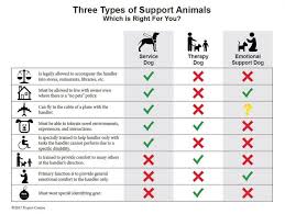 This was traditionally only for hunting dogs, but now anybody who wants to take their dog into the backcountry can request a dog access permit. Don T Get Put In The Doghouse Know The Law About Service Animals At School The Prairie