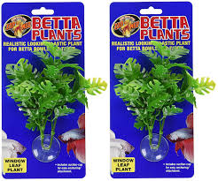 Here, we'll review the top 10 best betta plants on the market today. Amazon Com Zoo Med Laboratories Betta Window Leaf Plant 2 Plants Pet Supplies