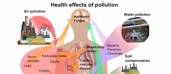 This family is composed of specific compounds from three chemical groups: Diabetes Dioxins Nutritionfacts Org