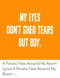 A tornado flew around my room before you came being the first (giving a fantastical excuse for a messy room). My Eyes Don T Shed Tears But Boy A Potato Flew Around My Room Lyrics A Potato Flew Around My Room Lyrics Meme On Ballmemes Com