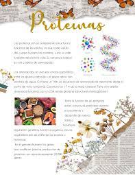 Proteinas In 2021