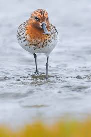 Pin On Exciting Different