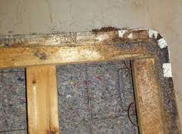 3677 23rd ave s ste a106 lake worth fl 33461. Pest Control Experts Tucson Pest Removal Concerns