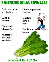 La espinaca es alta en fibra que nos ayuda a mejorar el tránsito intestinal  y nos proporciona mayor sensación de saciedad, ademas contiene también  hierro, magnesio y acido fólico. ¡Consúmela! #60AniversarioISSSTE  #QuédateEnCasa