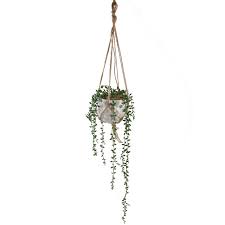 Add to wish list add to compare. Best Places To Buy Fake Plants Online Apartment Therapy