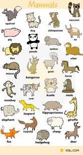 Learn Animal Names In English Eslbuzz Learning English Animals Name In English English Vocabulary Learn English Vocabulary