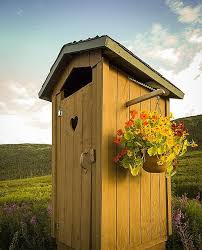 Build a backyard bird paradise. 300 Outhouses Ideas In 2021 Outhouse Out Houses Outhouse Shed