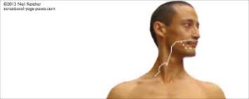 When lungs/large intestines qi is unbalanced we tend to feel sadness associated with a sense of loss. Large Intestine Meridian