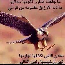 pin by asia hamatta on عربي كلمات natural view horse pictures holy scriptures