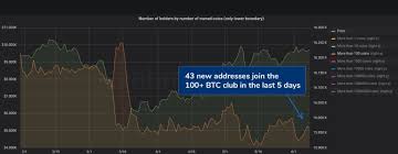 The first and most important factor is that it was clear that this fall was not going to last long. Market Update Bitcoin Train Inches Toward 10k Wild Predictions Trillion Dollar Crypto Economy Market Updates Bitcoin News