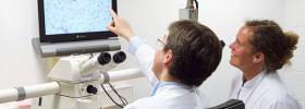 Kalbheim pressestelle deutsche krebshilfe e. Stammzell Und Immuntherapie