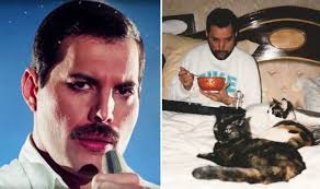 Freddie Mercury cats: Early days with Mary to incredible last pictures in  bed with Delilah
