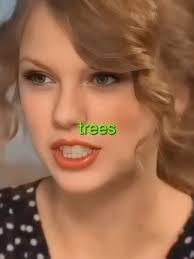 Taylor Swift First Job