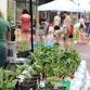 Natchitoches Farmer’s Market