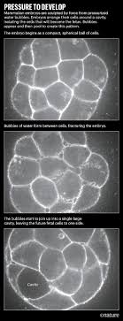 Maybe you would like to learn more about one of these? The Secret Forces That Squeeze And Pull Life Into Shape