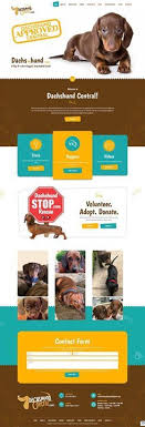 Dachshund dogs adopted on rescue me! Looking For Dachshund Puppies For Sale In Or Around Dallas Tx Check Out Our Clients New Web Dachshund Puppies For Sale Miniature Dachshunds Dachshund Puppies