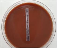 Opening hours for pest control in chico, ca. Pathogens Free Full Text The Laboratory Diagnosis Of Neisseria Gonorrhoeae Current Testing And Future Demands Html