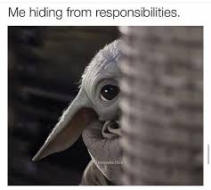 Baby Yoda Hiding Responsibilities In 2020 Yoda Stupid Funny Memes Disney Princess Memes