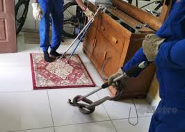 Pusat khidmat adn bandar utama home facebook. Ular Tedung Selar Kunjungi Rumah Yb Metrotv