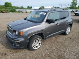 Image result for Sting Gray 2021 Renegade